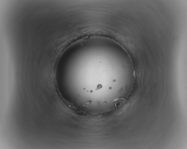 X0000114440769200910231317