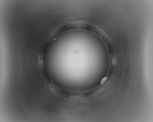 X0000114440771200910231317