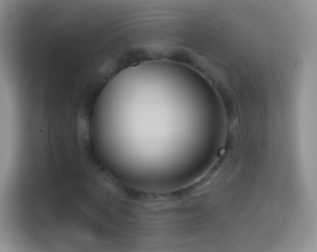 X0000114440772200910231317