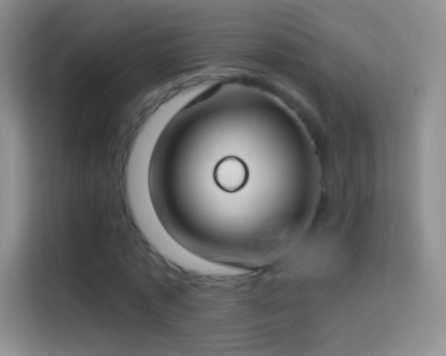 X0000114440773200910231317