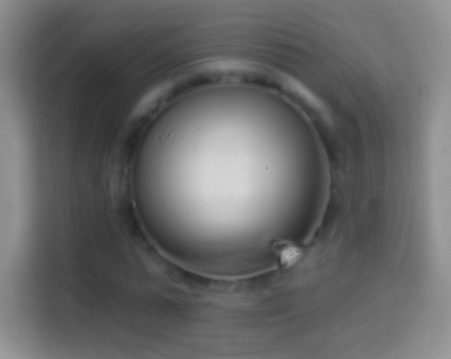 X0000114440775200910231317