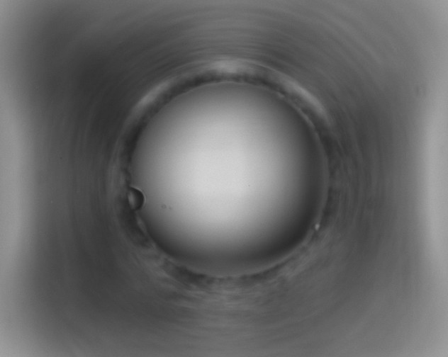 X0000114440776200910231317