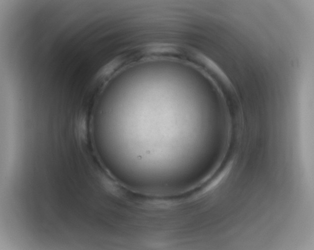 X0000114440777200910231317