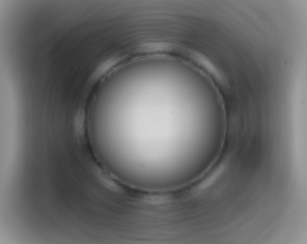 X0000114440778200910231317