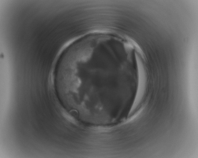 X0000114440779200910231317