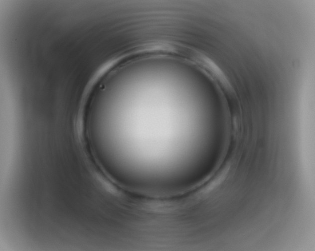 X0000114440780200910231317