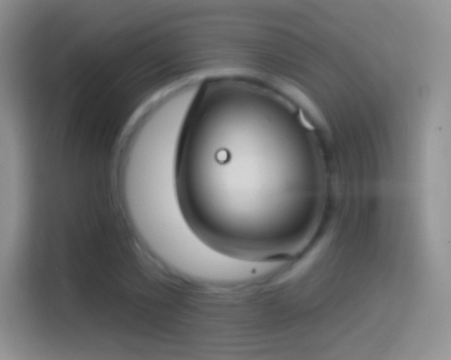 X0000114440781200910231317