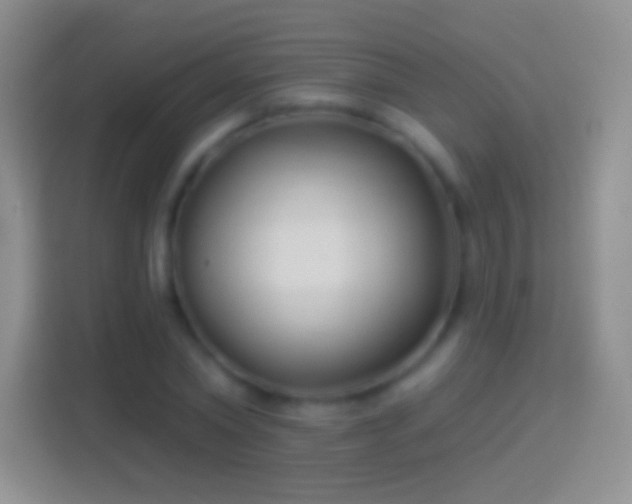 X0000114440782200910231317