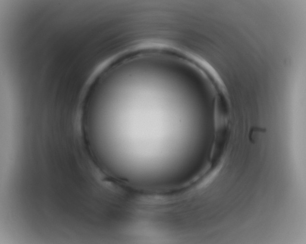 X0000114440783200910231317