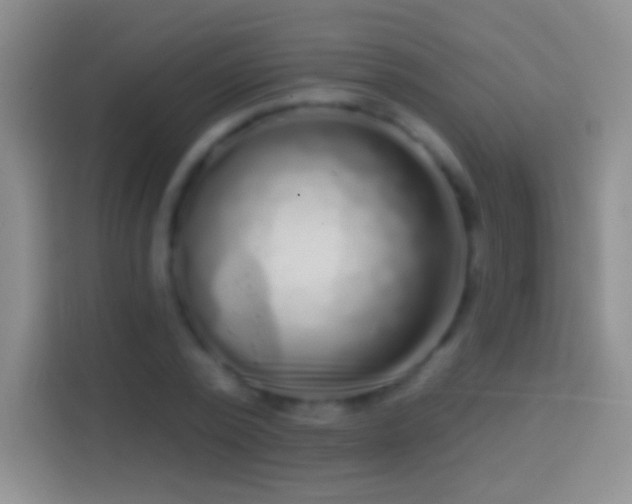 X0000114440784200910231317