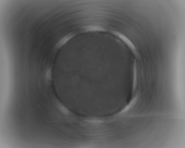 X0000114440785200910231317