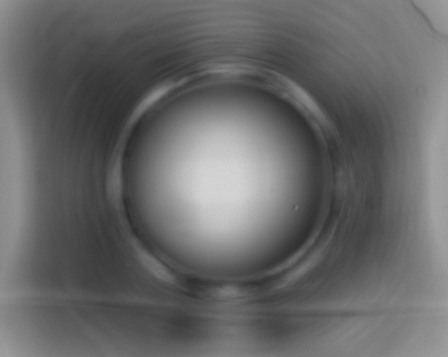 X0000114440787200910231317