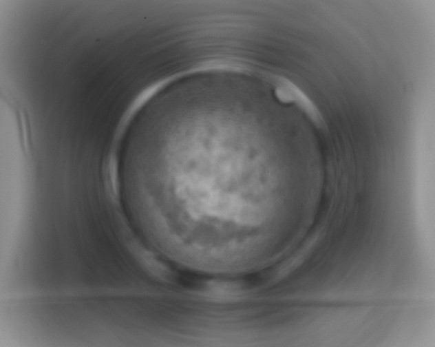 X0000114440788200910231317