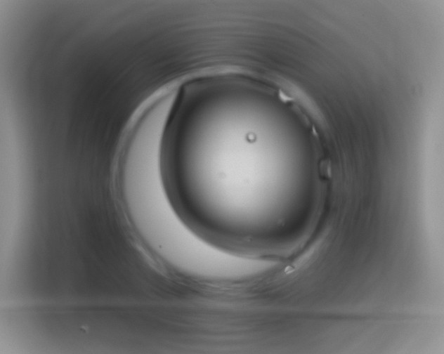 X0000114440789200910231317