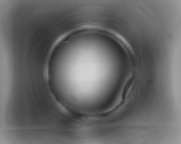 X0000114440791200910231317