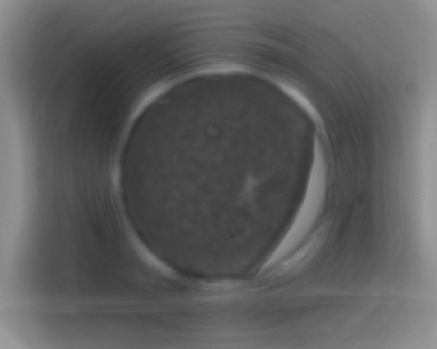 X0000114440797200910231317