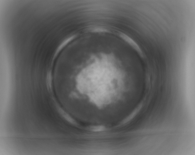 X0000114440798200910231317