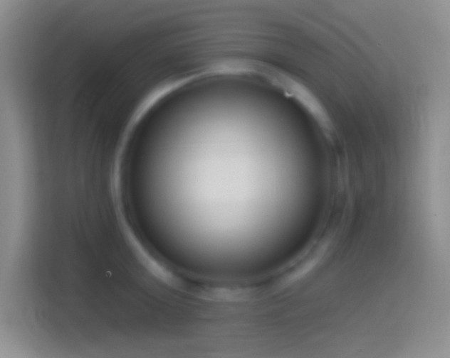 X0000114440803200910231317