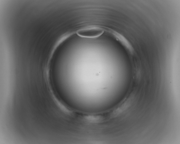 X0000114440805200910231317