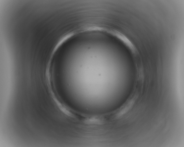 X0000114440806200910231317