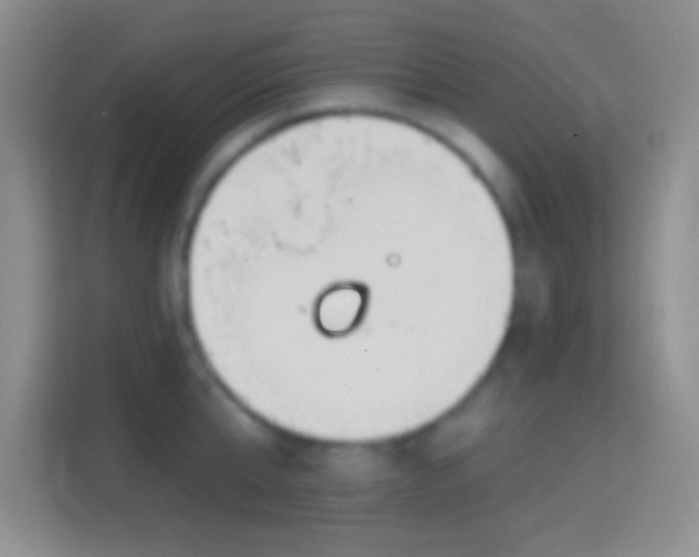 X0000114440807200910231317