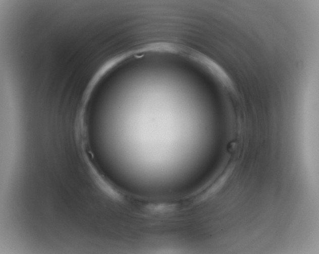 X0000114440808200910231317