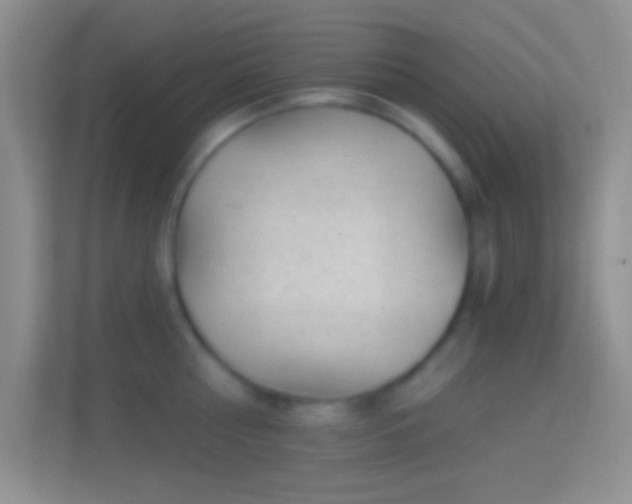 X0000114440810200910231317