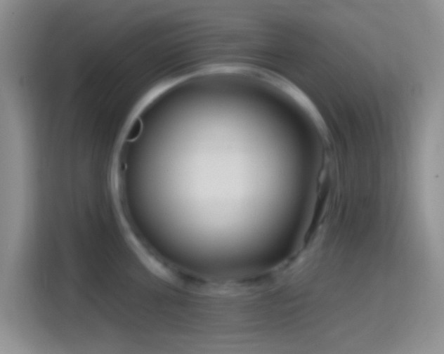 X0000114440811200910231317