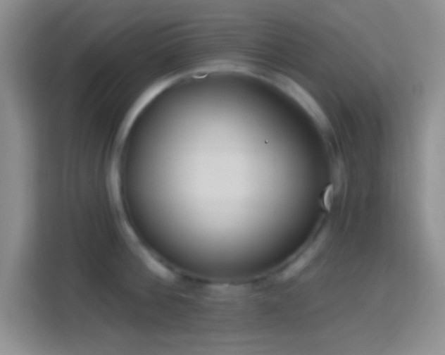 X0000114440812200910231317