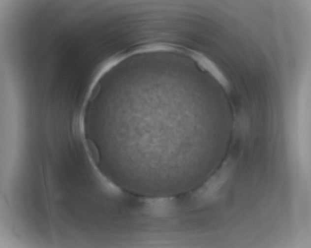 X0000114440813200910231317