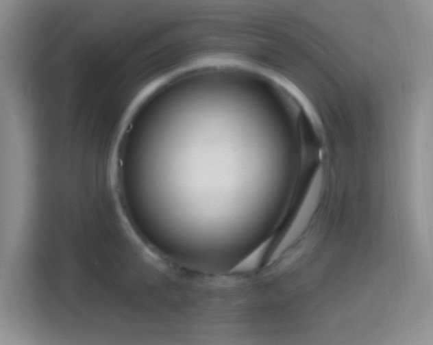 X0000114440815200910231317