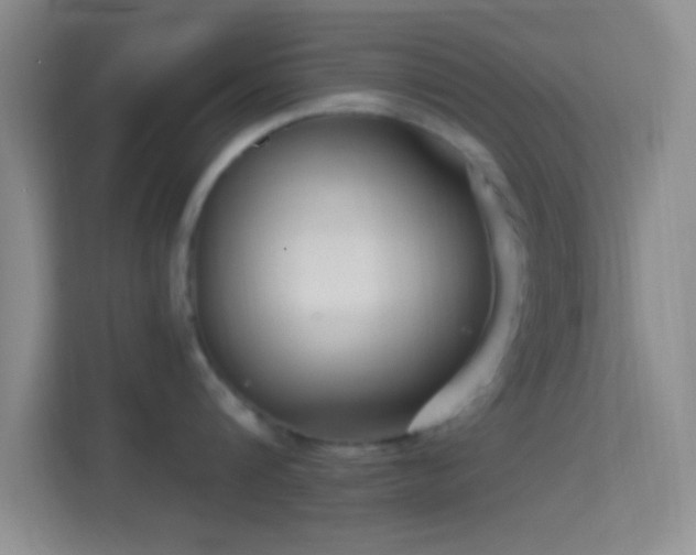 X0000114440816200910231317