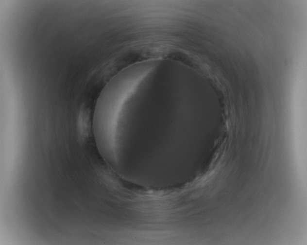 X0000114440818200910231316