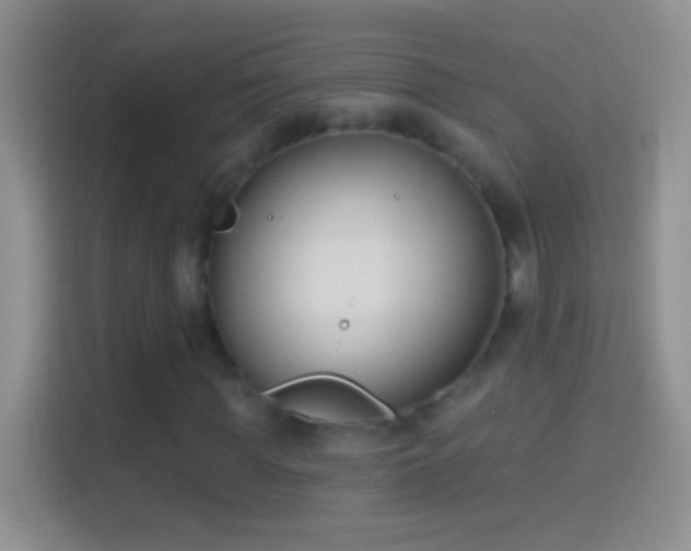 X0000114440819200910231316