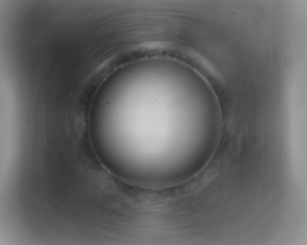 X0000114440821200910231316