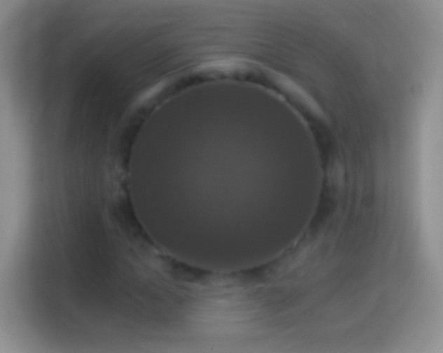 X0000114440822200910231316