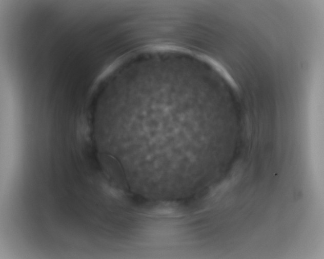 X0000114440823200910231316