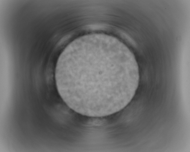 X0000114440824200910231316