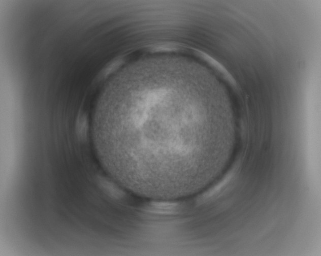 X0000114440825200910231316