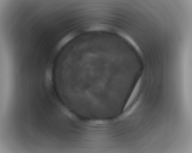 X0000114440826200910231316