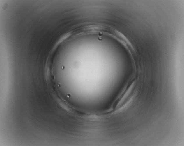 X0000114440827200910231316