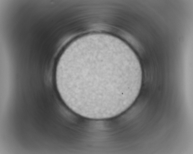 X0000114440828200910231316