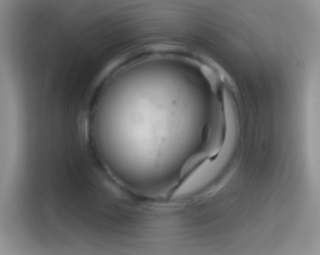 X0000114440829200910231316