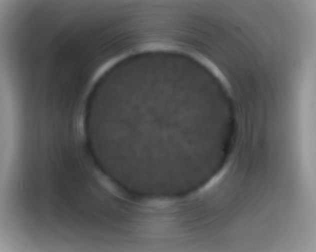 X0000114440830200910231316