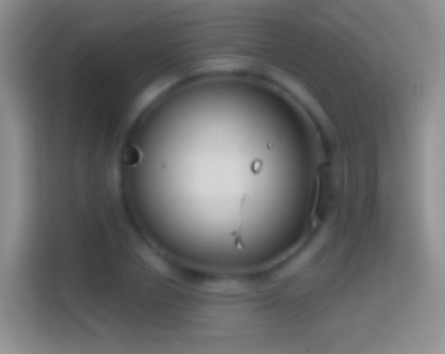 X0000114440834200910231316