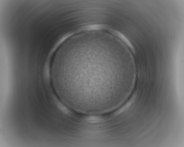 X0000114440835200910231316