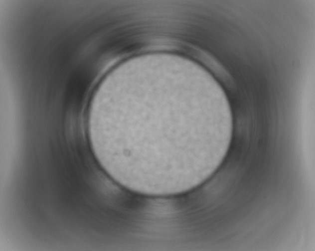 X0000114440836200910231316