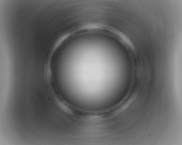 X0000114440837200910231316