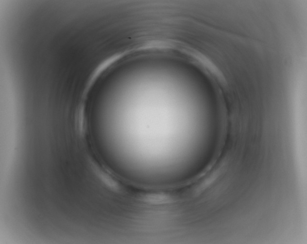 X0000114440838200910231316