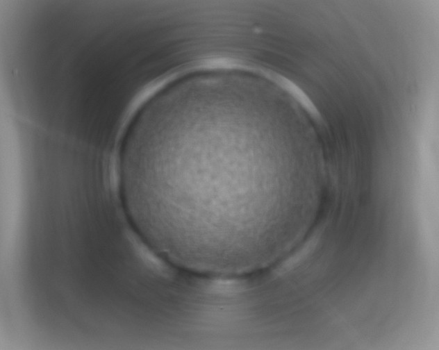 X0000114440839200910231316